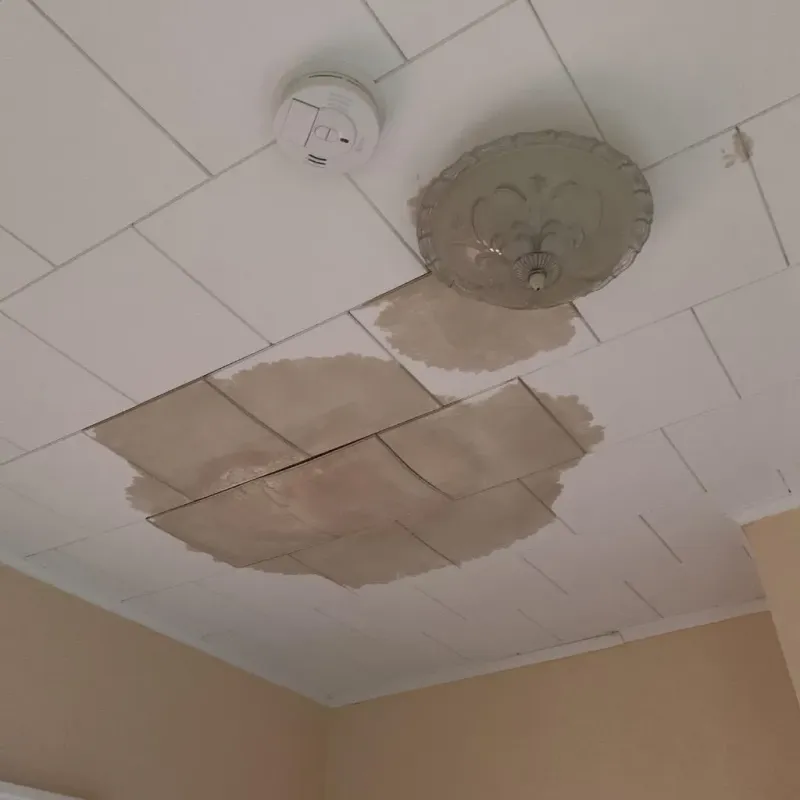 Ceiling Water Damage Repair in Canton, SD