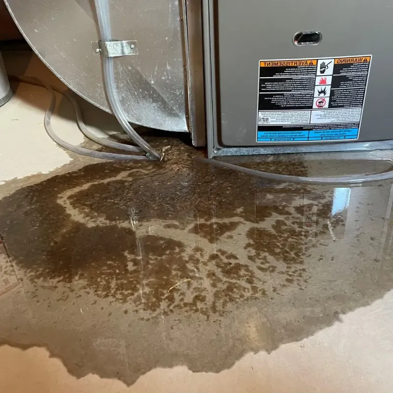 Pipe Burst and Leak Restoration in Canton, SD