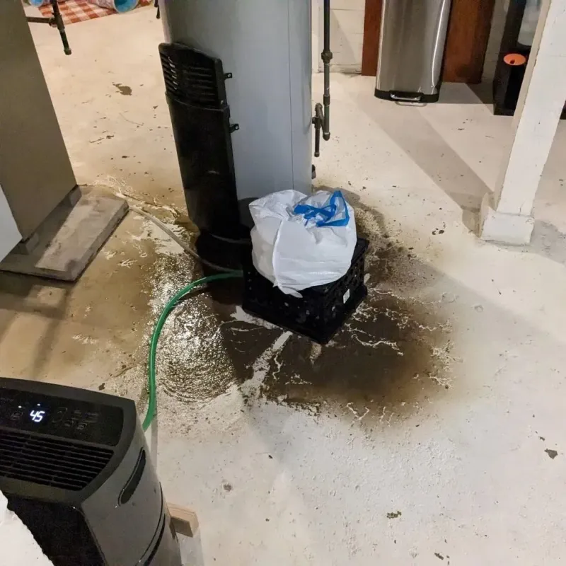 Sewage Backup Cleanup Service in Canton, SD